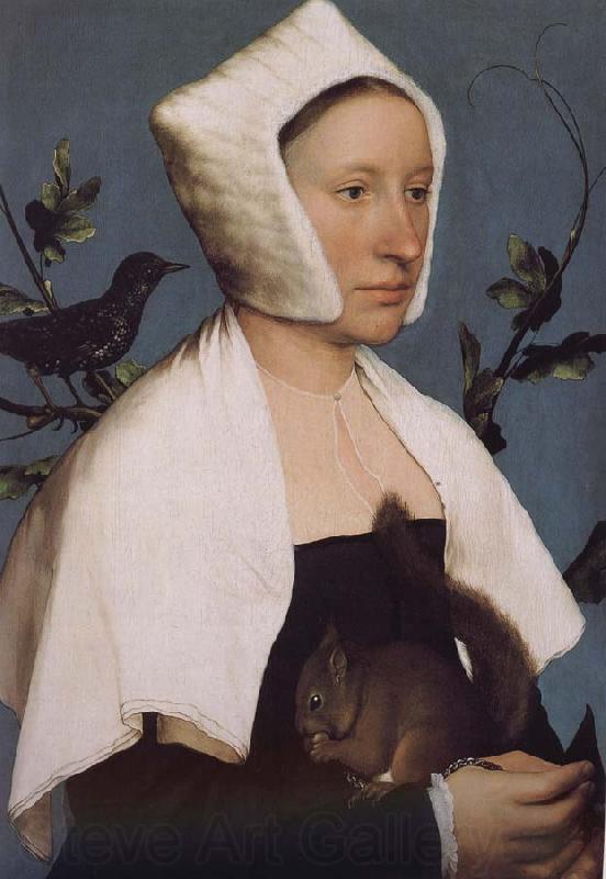 Hans Holbein With squirrels and birds swept Europe and the portrait of woman